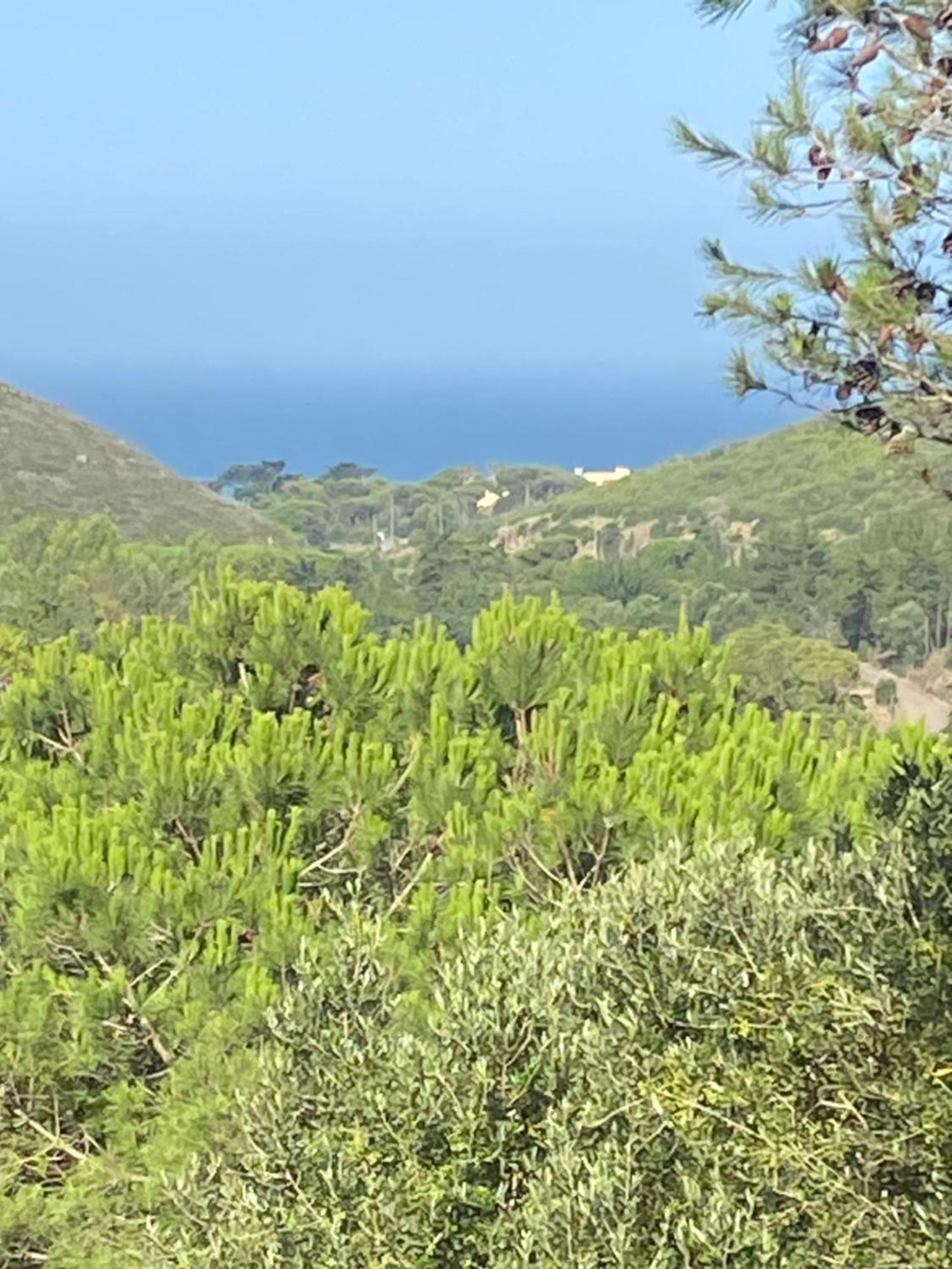 Amazigh Guincho Hostel & Suites กาชไกช์ ภายนอก รูปภาพ